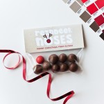 Reindeer Noses by Pretty and Print